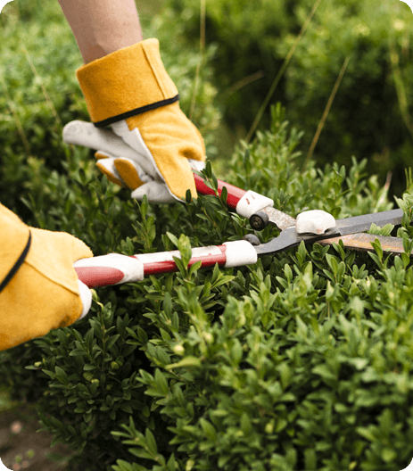 jardinage_clermont_ferrand